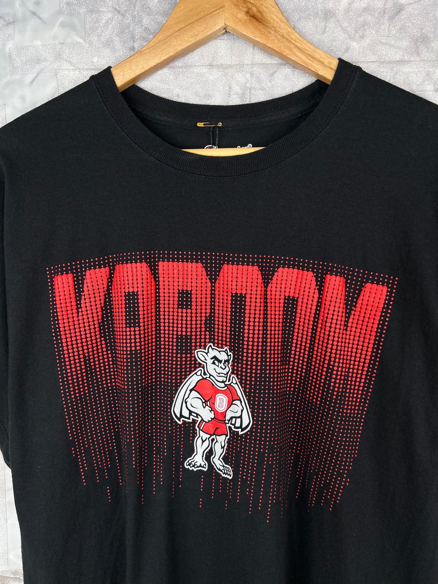 CAMISETA RETRO VINTAGE CHAMPION (L)
