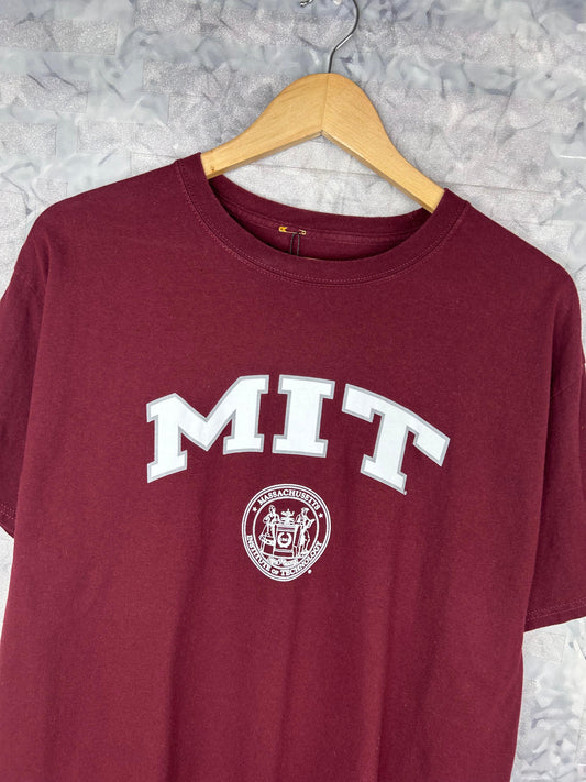 CAMISETA RETRO VINTAGE CHAMPION (L)