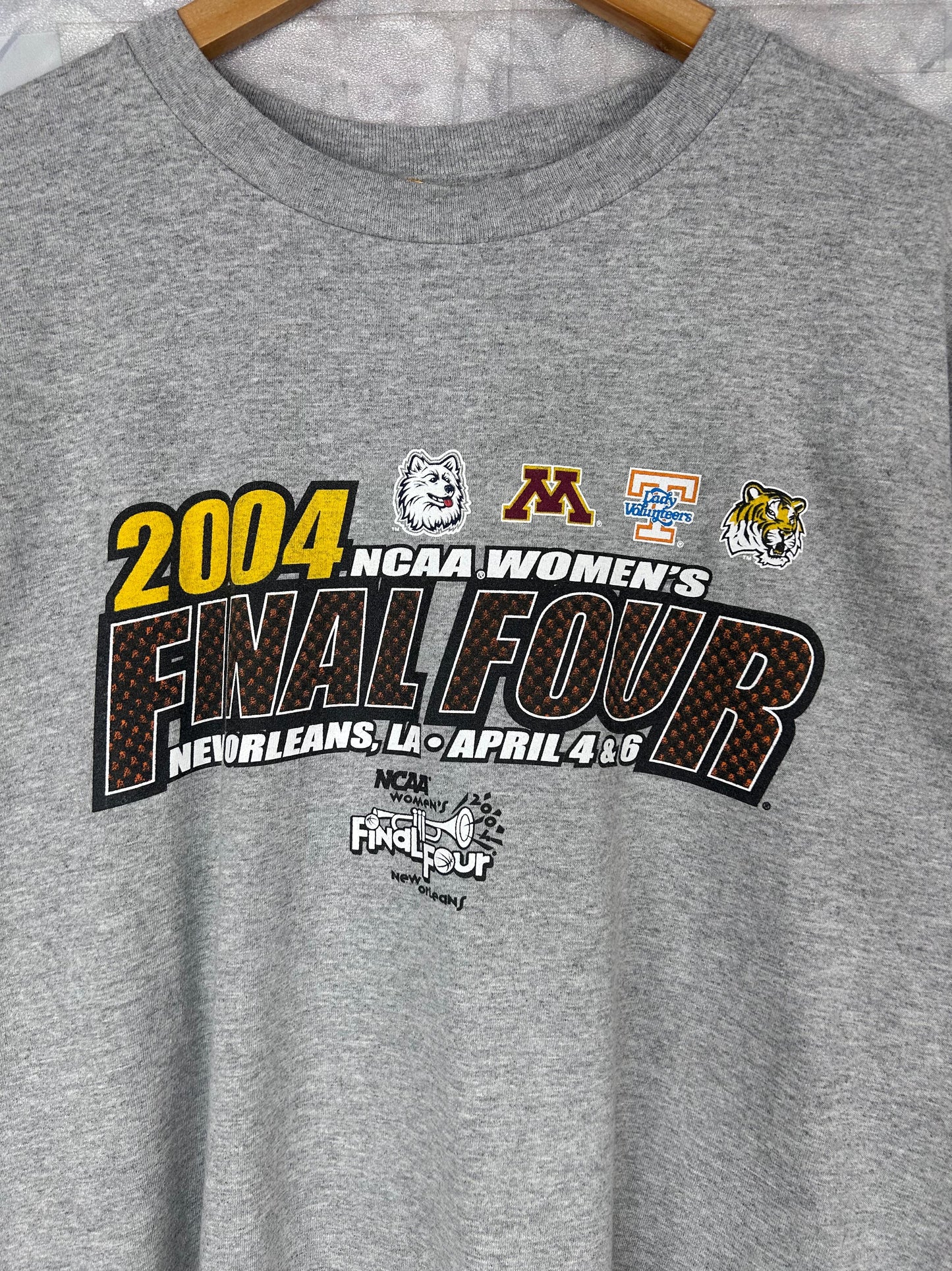 CAMISETA RETRO VINTAGE CHAMPION (L)
