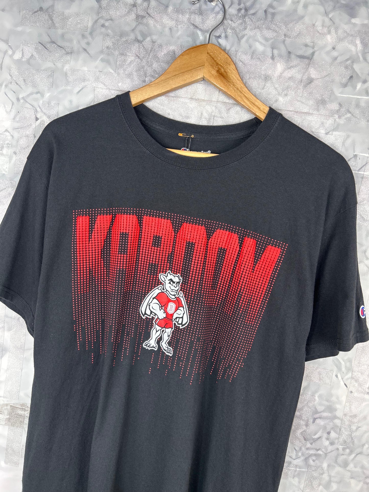 CAMISETA RETRO VINTAGE CHAMPION (L)