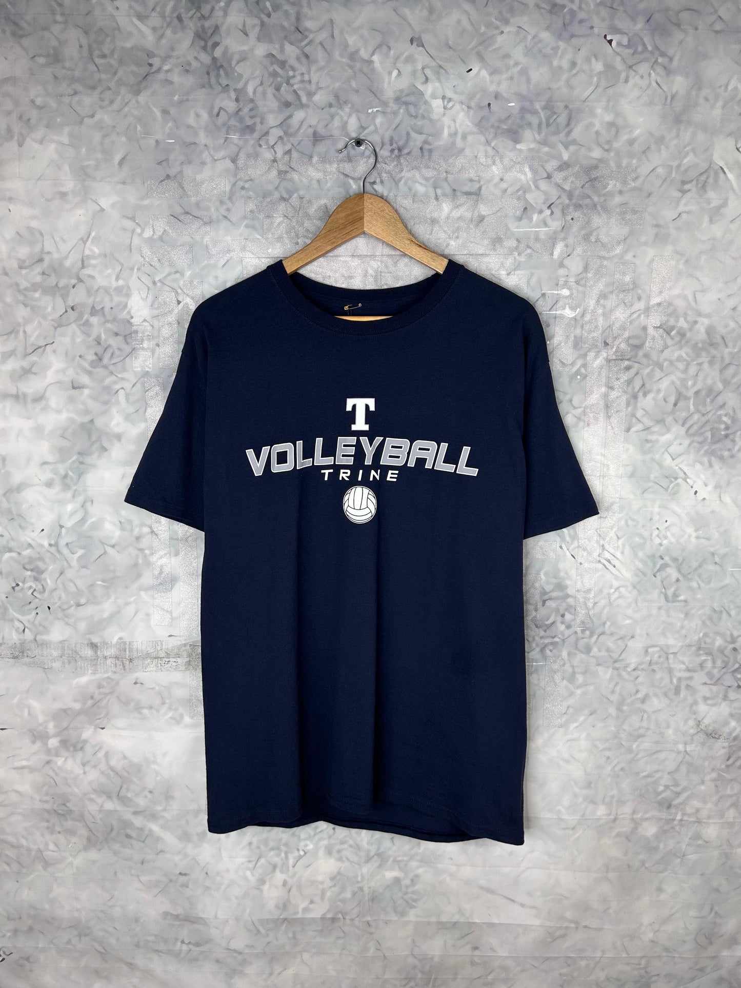 CAMISETA RETRO VINTAGE CHAMPION (L)