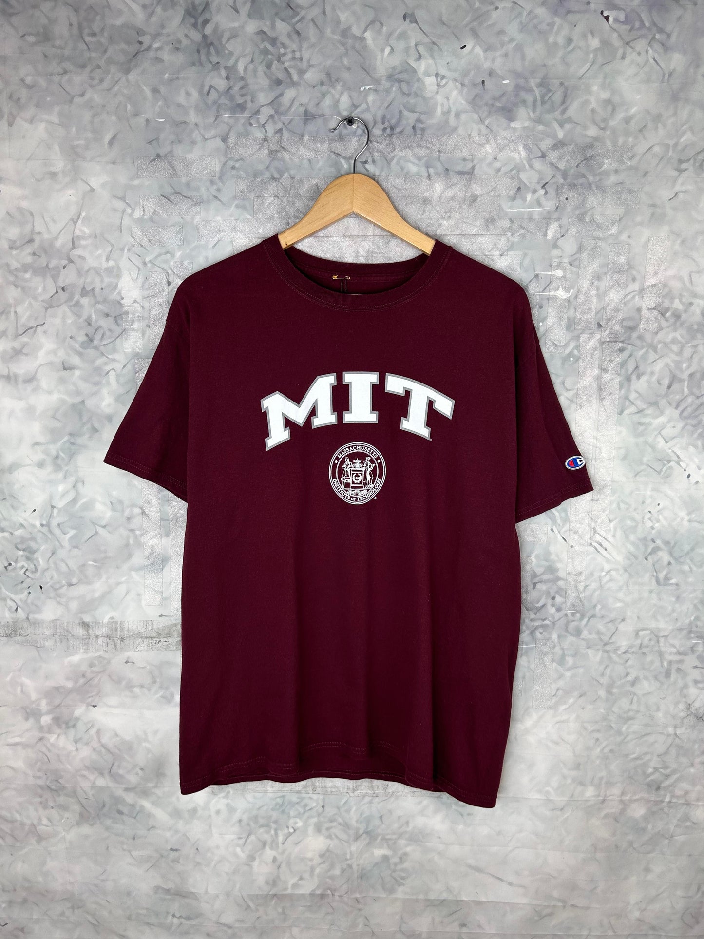 CAMISETA RETRO VINTAGE CHAMPION (L)