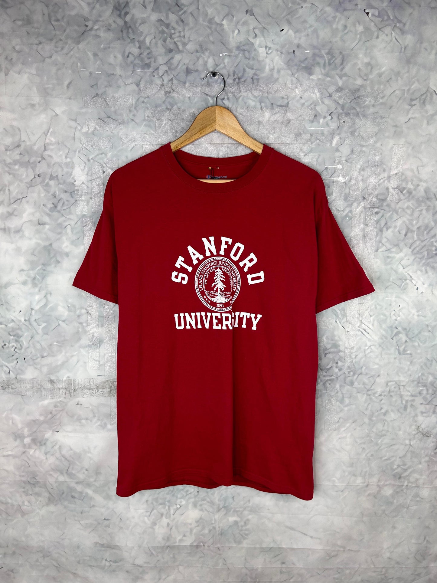 CAMISETA RETRO VINTAGE CHAMPION (L)