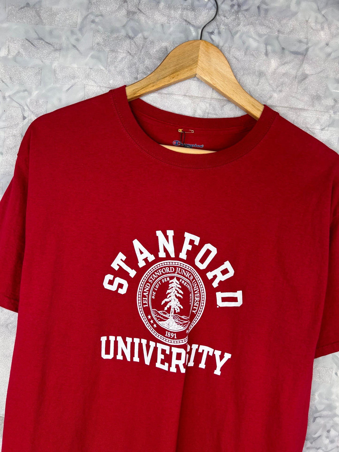 CAMISETA RETRO VINTAGE CHAMPION (L)