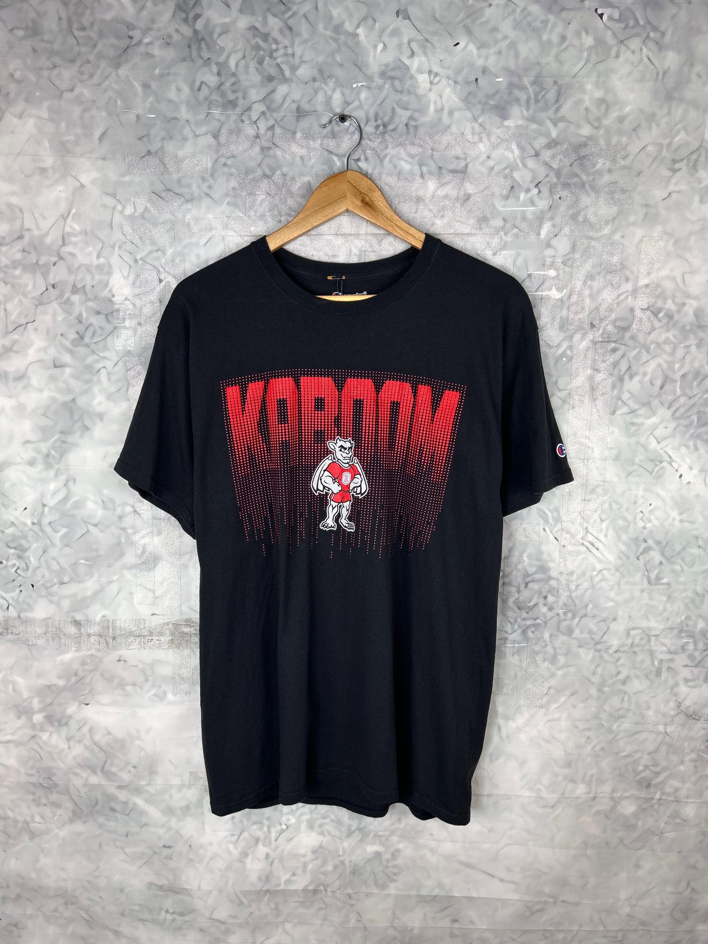 CAMISETA RETRO VINTAGE CHAMPION (L)